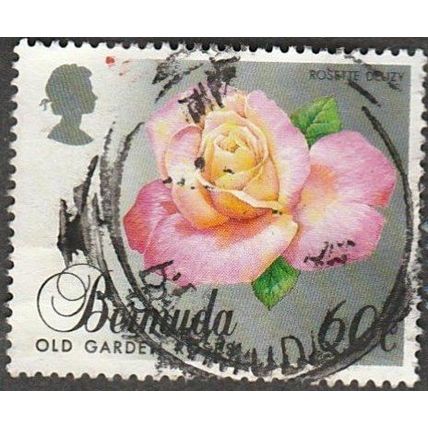 Bermuda. 60c Value. Old Garden Rose. Fine Used