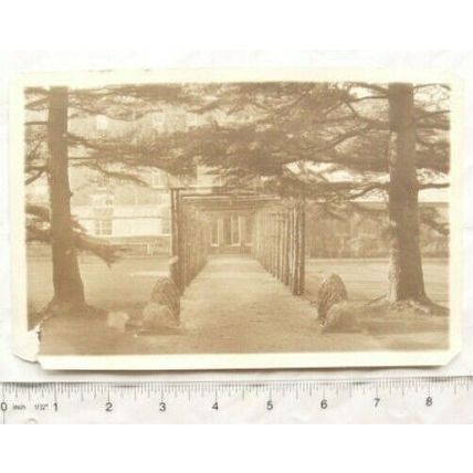 Vintage photo house with pergola & pair of lion statutes