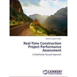 Real-Time Construction Project Performance Assessment