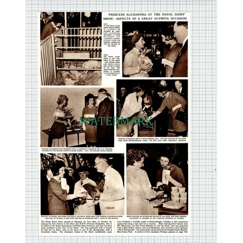 (X188) Royal Dairy Show Olympia Mr WR Trehane Cheese Council - 1961 Clip