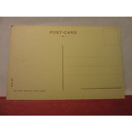SAN STEFANO STREET, HELIOPOLIS, Egypt unused antique postcard #