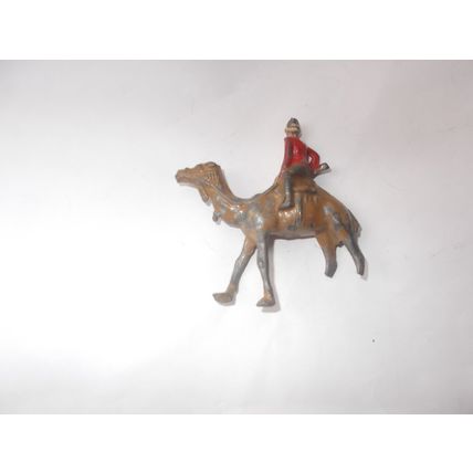 HORSES/CAMEL FOR RENOVATOB ONLY (18/12)