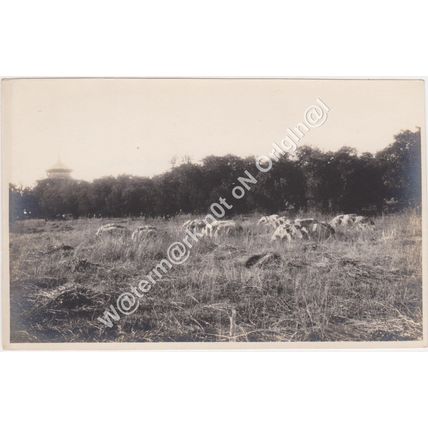 RP Sacred Rocks Temple of Heaven Peking Beijing China 1923