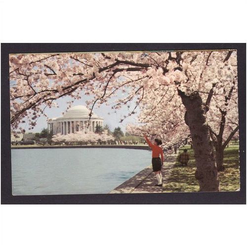 AMERICAN POSTCARD JEFFERSON MEMORIAL - THE GRAY LINE - USED 1976