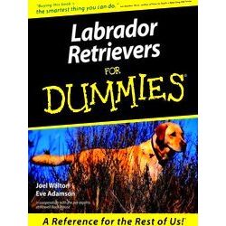 Labrador Retrievers For Dummies