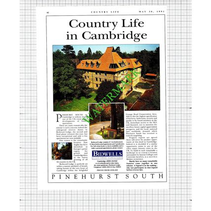 Pinehurst South Cambridge Redwood Lodge / Hessett Suffolk Advert -1991 Cutting