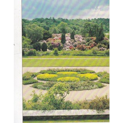 Belsay Hall Rhododendren Garden Northumberland Postcard unused VGC