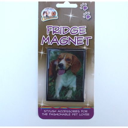 Beagle 3D fridge magnet Great Christmas stocking filler