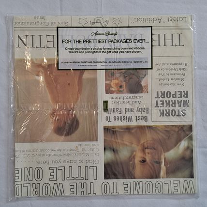 Vintage 1976 New American Greetings BABY Shower WRAPPING PAPER Gift Wrap