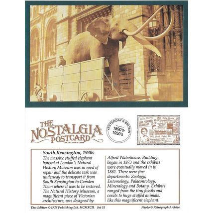 Postcard Elephant Natural History Museum South Kensington London 1930s Nostalgia