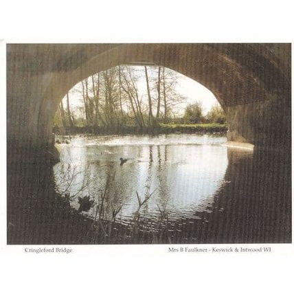 Cringleford Bridge at Dusk Rare Norfolk Postcard