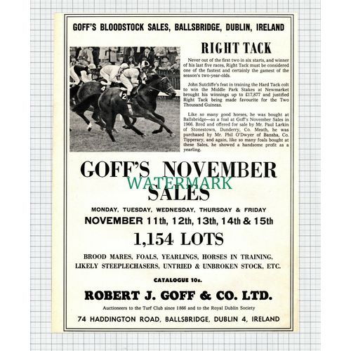 (X33) Goff's Bloodstock Sales Ballsbridge Dublin Horse Right Tack - 1968 Clip