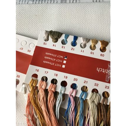 Counted Cross Stitch KIT The Old Married Couple (China)