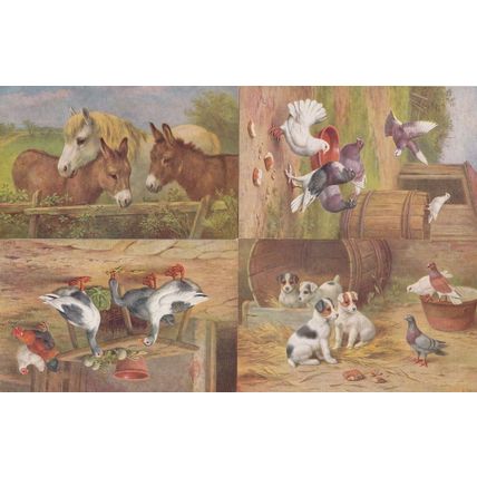 Birds Asserting Territory 4x 1970s Farming Watercolour Painting Farm Postcard s