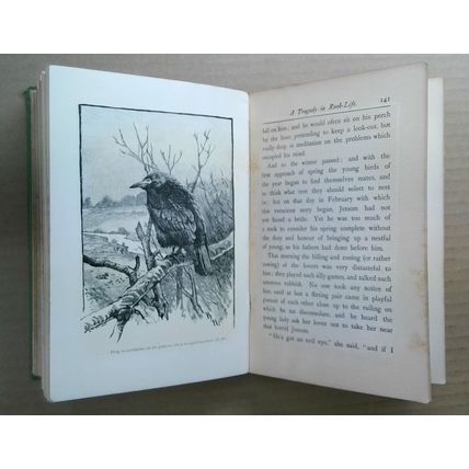 Tales Of The Birds - by W. Warde Fowler (Hardcover) 1909