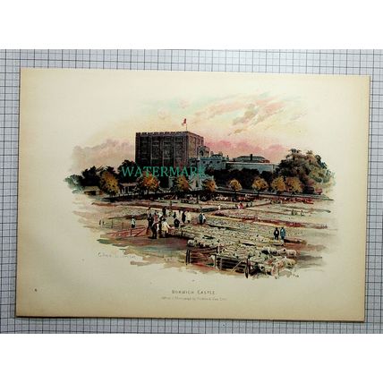 (5032) NORWICH CASTLE ENGLAND - c.1910 Antique Print