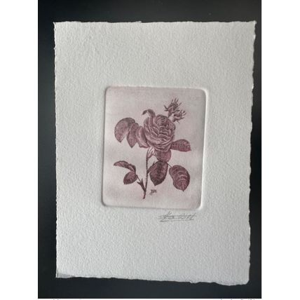 Belgique ? COB ? Epreuve d'artiste 1er jour FDC Fleur Rose Pierre-Joseph Redouté