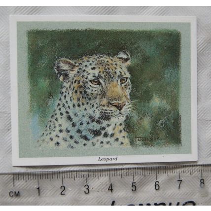 1993 CCC card - Leopard