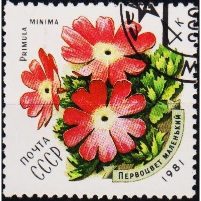 Russia. 1981 4k S.G.5129 Used