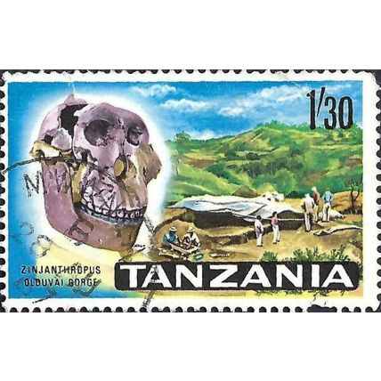 TANZANIA, Skull of Zinjanthropus, Olduvai Gorge, blue 1965, 1/30