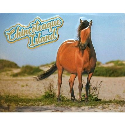 Chincoteaque Island with Horse Virginia Fridge Magnet