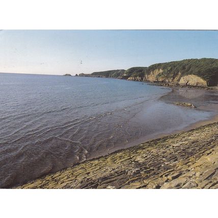 Saundersfoot Harbour Pembrokeshire Postcard posted 1996 creased