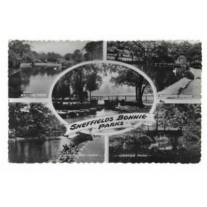Sheffield's Bonnie Parks, Multiview RP Postcard.
