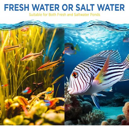 Magic Pond Rocks, Fish Tank Rocks for Enhancing Water Clarity with Your Regular