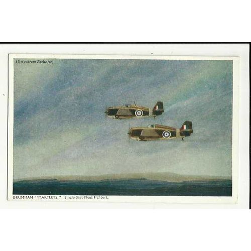Aviation GRUMMAN MARTLETS Art Postcard by Photochrom