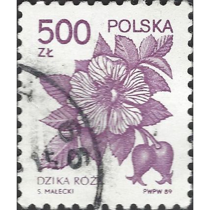 POLAND, FLOWER, Wild Rose, Rosa canina, violet 1989, 500Zl