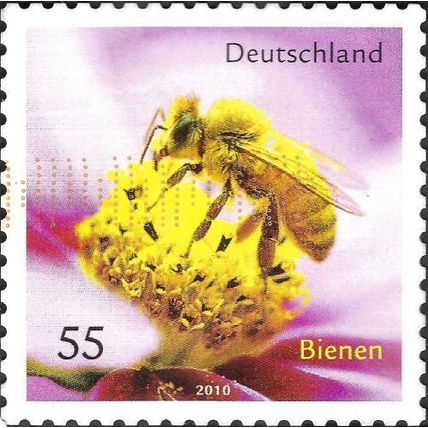 GERMANY, INSECT, Honey Bee, Apis mellifica, lilac 2010, 0.55