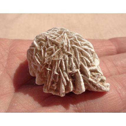 E Desert Rose Gypsum 1.625 Inch Raw Rough Stone Crystal Metaphysical