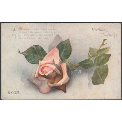 Birthday Greetings, Rose, c.1920 - Tuck's Oilette Postcard