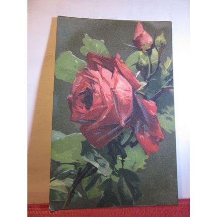 RED ROSIES, flowers used Italian postcard dated 1917 =