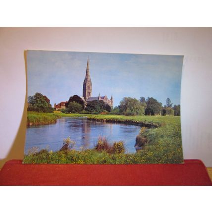 SALISBURY CATHEDRAL & RIVER AVON, WILTSHIRE unused postcard J. Arhtur Dixon (a)=