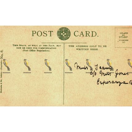 Cardiff Castle, Wales, No 8 Horrocks Postcard, 1900s