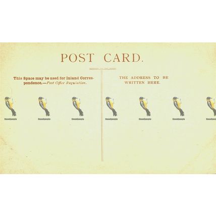 Llandaff Cathedral, Cardiff, Wales, Postcard, 1900s