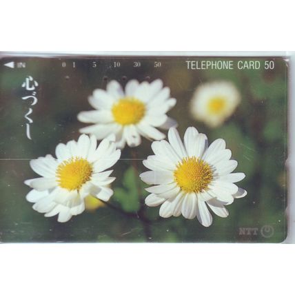 Common Daisy Japan NTT Phone Card