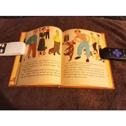 Wonder Book Hoppy The Puppy By Barbara S. Bates 1950 Great Shape