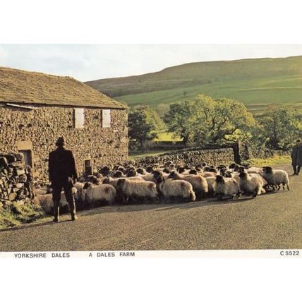 Farmer & 1970s Farm on Yorkshire Dales Old Postcard