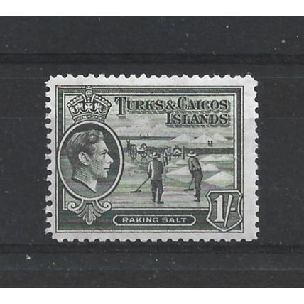 Turks&Caicos.SG202a 1s Raking Salt (Grey-Olive).Mounted Mint.Aug24c