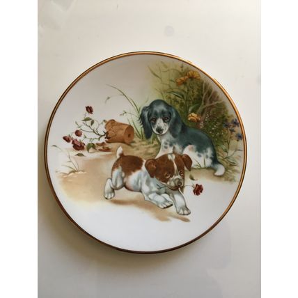 COLLECTOR PLATE - PUPPIES (BONE CHINA - 16CM)