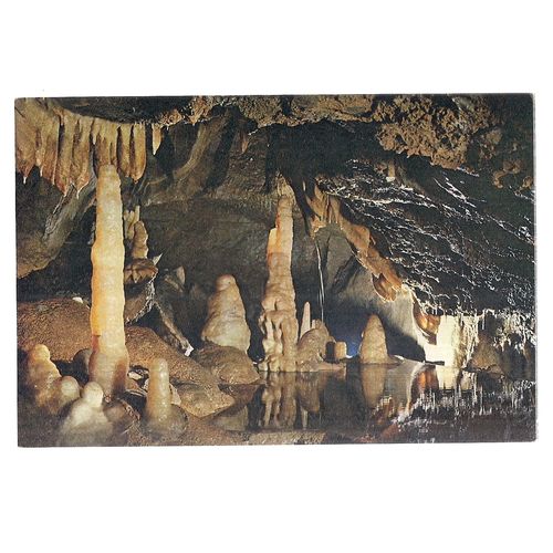 ALADDIN'S CAVE, GOUGH'S CAVE, CHEDDAR, SOMERSET unused postcard A.Dixon =