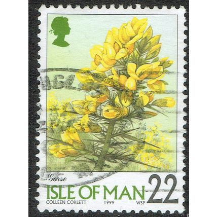 Isle of Man 1998 Flowers 22p Multicoloured SG780 GU