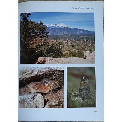 LAND OF THE EAGLE by Robert McCracken Peck - Hardback