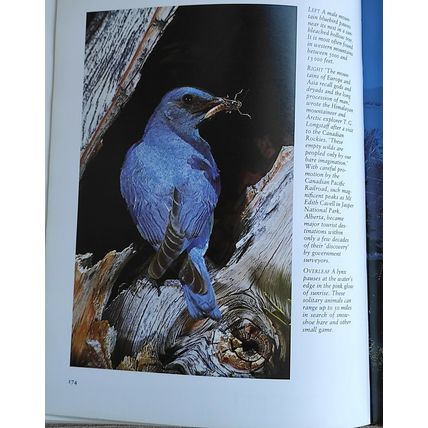 LAND OF THE EAGLE by Robert McCracken Peck - Hardback