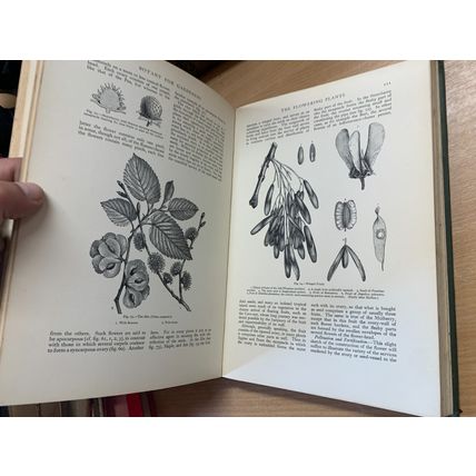 1925 THE GARDINER'S ASSISTANT STRUCTURES/HEATING/SOILS etc VOL 6 BOOK (P7)