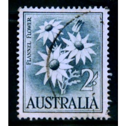 AUSTRALIA 1959 SG 323 2s FLANNEL FLOWER FINE USED # 3