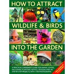 How To Attract Wildlife & Birds Into The Garden