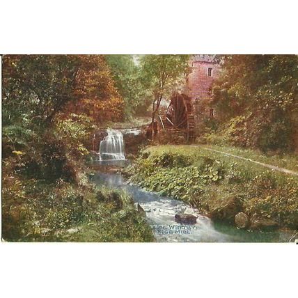 Yorkshire WHITBY Rigg Mill Postcard (Celesque 9976)